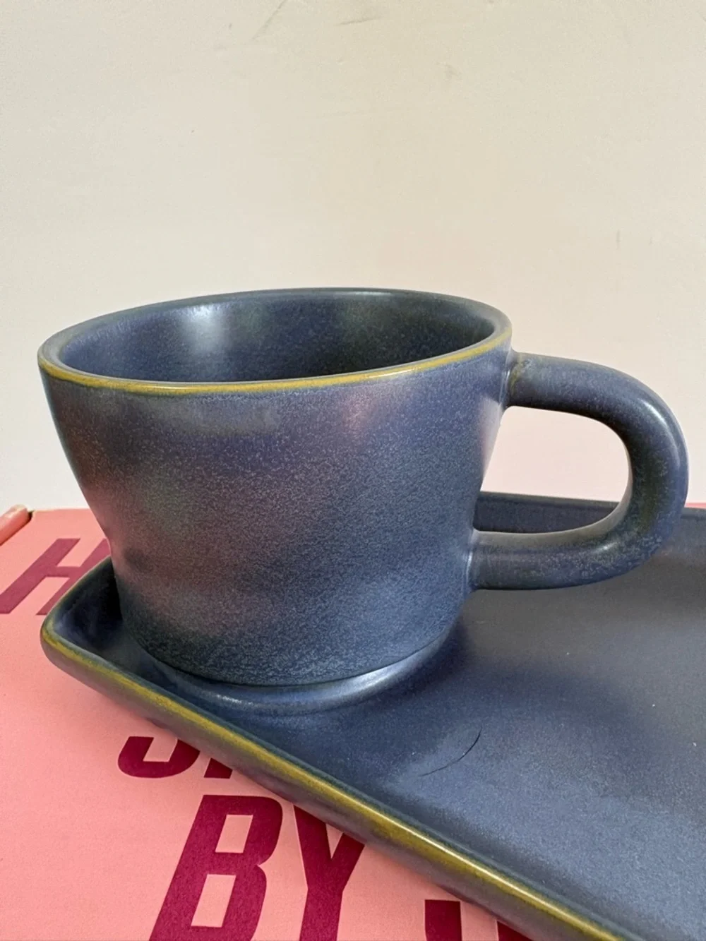 NWT Houseplant Snack Set Mug & Tray By Seth